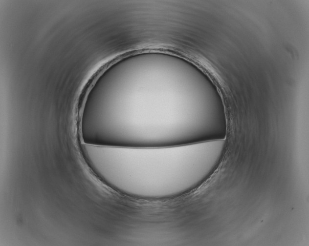 X0000112051124200908040944