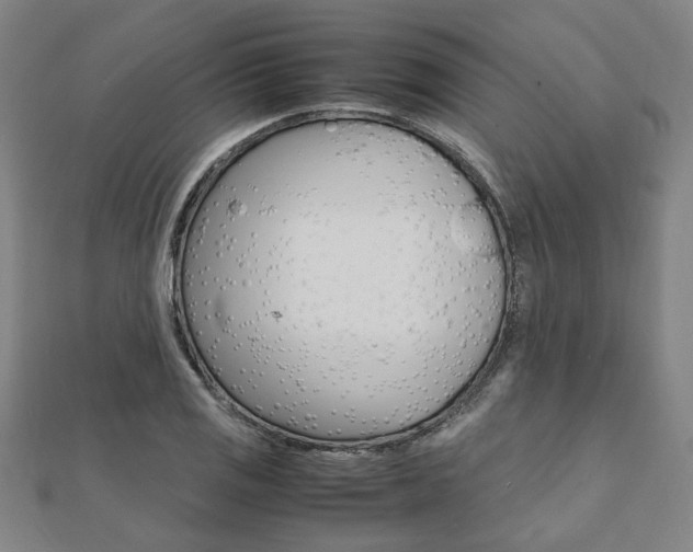 X0000112051125200908040944
