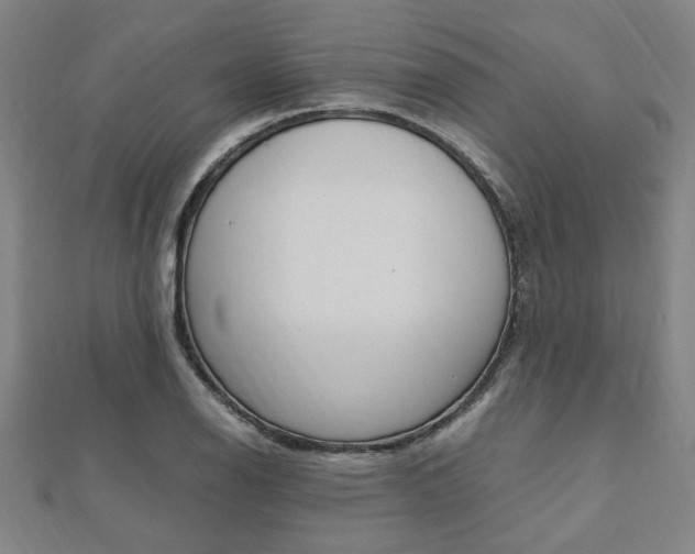 X0000112051126200908040944