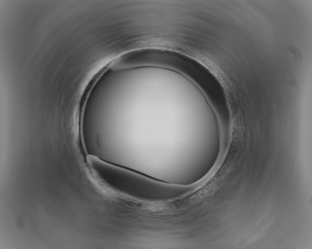 X0000112051128200908040944