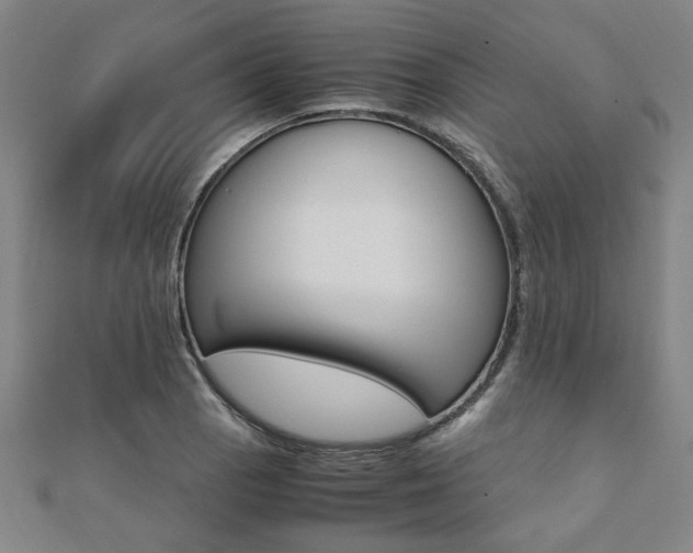 X0000112051129200908040944