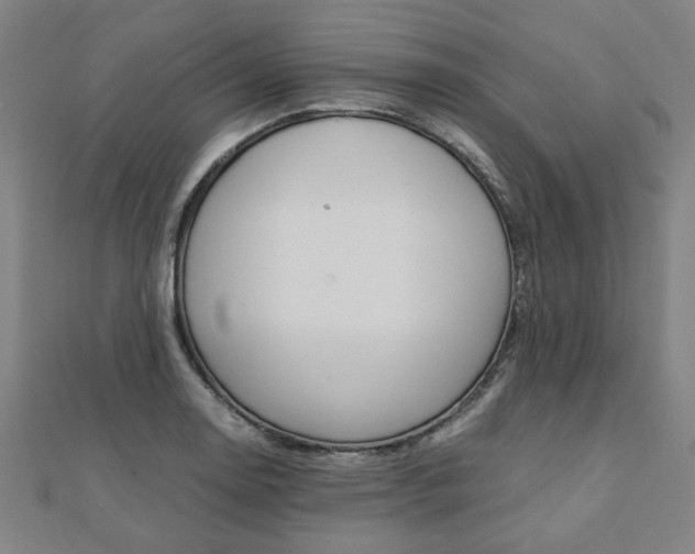 X0000112051130200908040944
