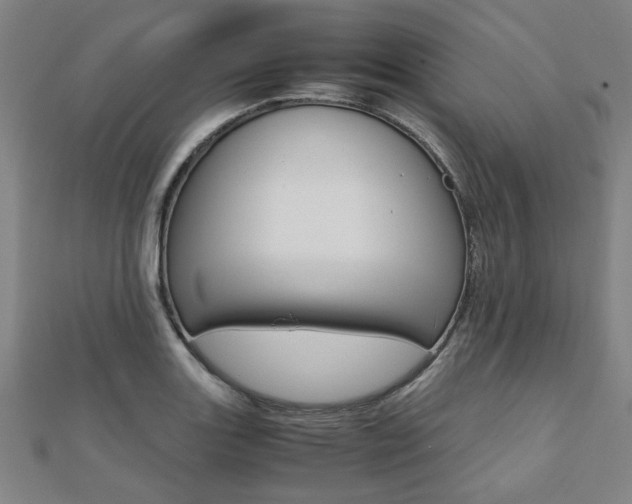 X0000112051131200908040944