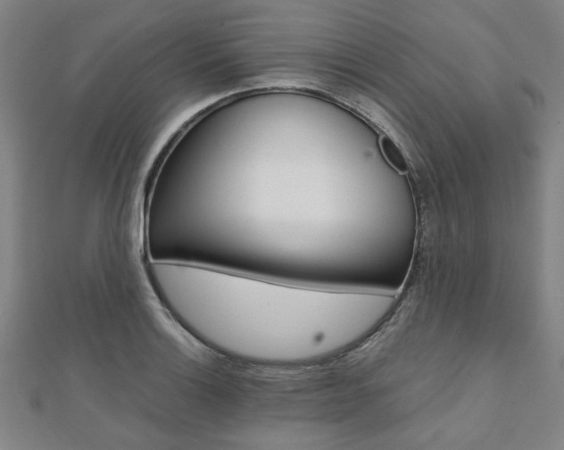 X0000112051132200908040944