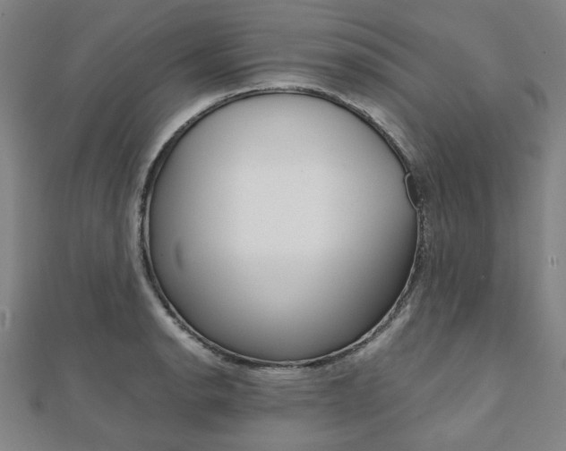 X0000112051134200908040944