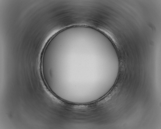 X0000112051135200908040944