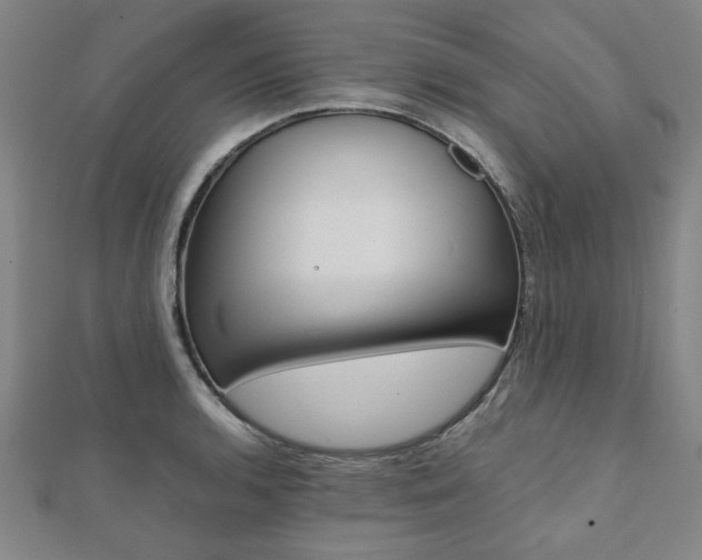 X0000112051136200908040944
