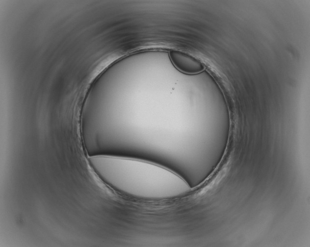 X0000112051137200908040944