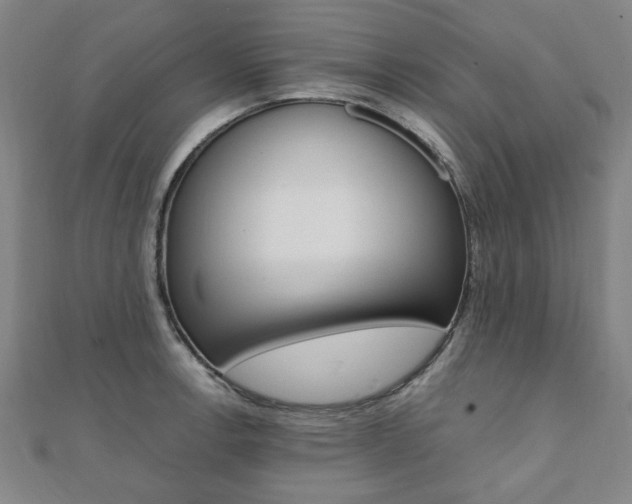 X0000112051138200908040944