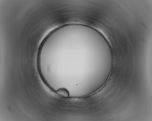 X0000112051139200908040944