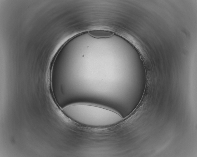 X0000112051140200908040944