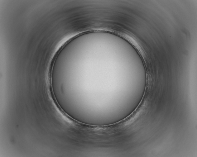 X0000112051141200908040944