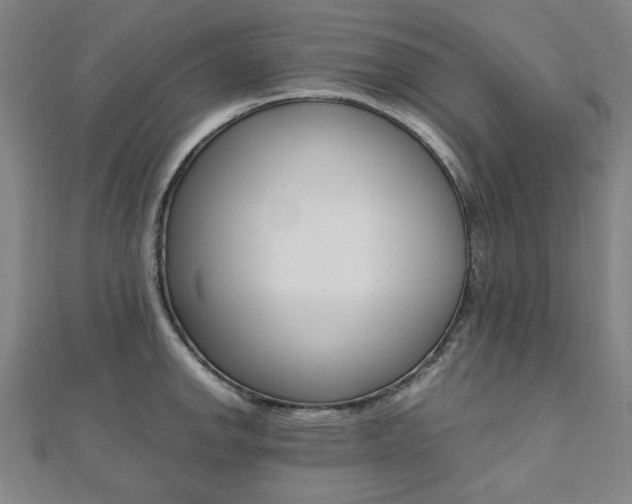 X0000112051142200908040944