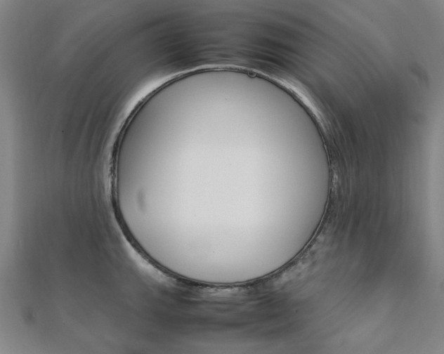 X0000112051143200908040944