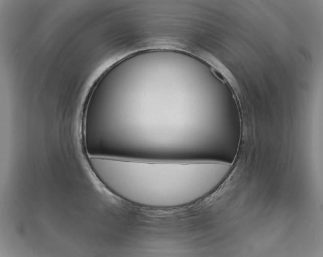 X0000112051144200908040944