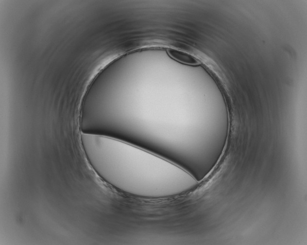 X0000112051145200908040944
