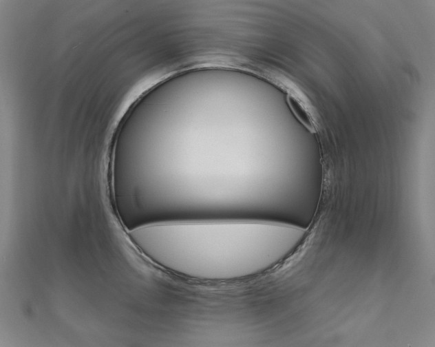X0000112051146200908040944