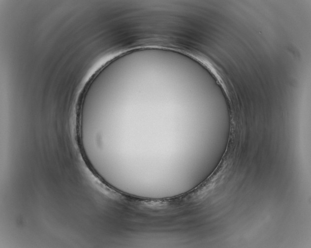 X0000112051147200908040944