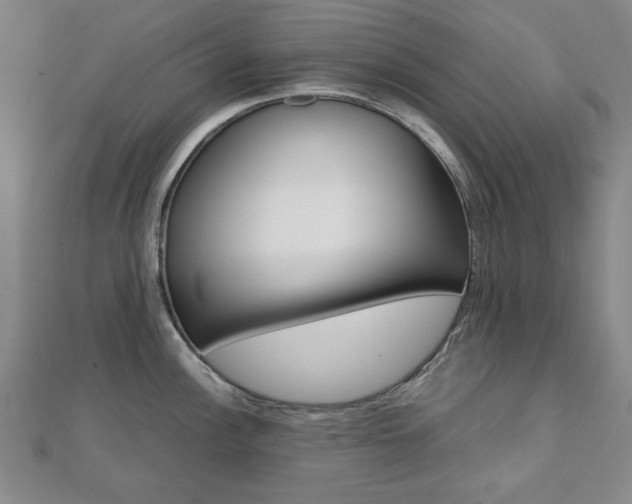 X0000112051148200908040944