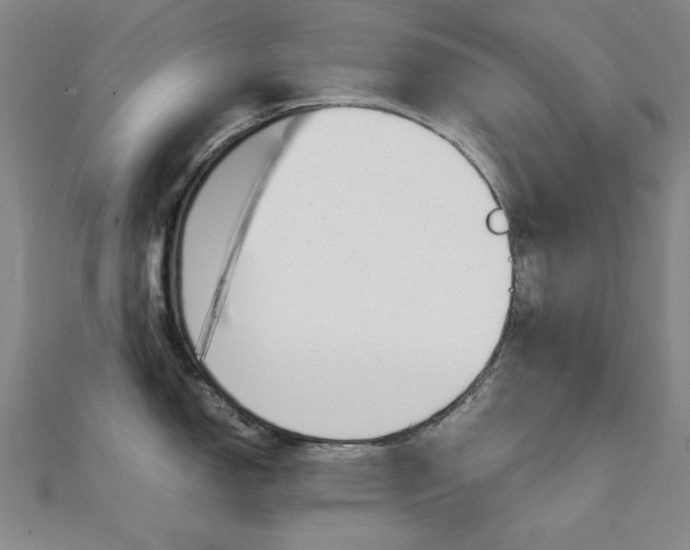 X0000112051150200908040944
