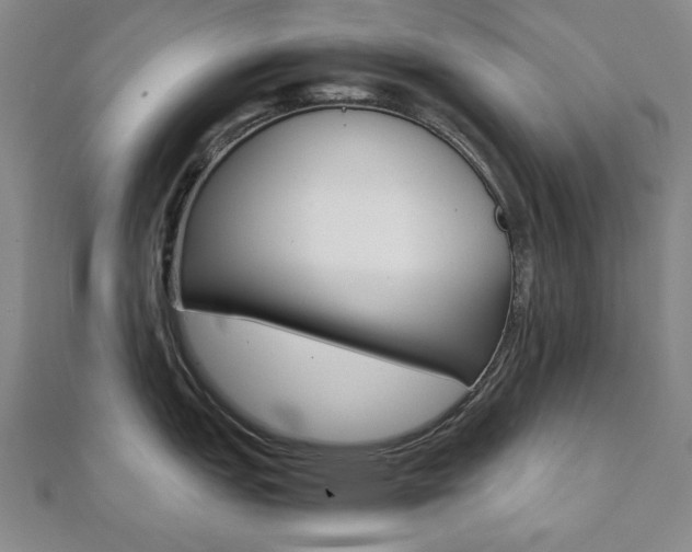X0000112051151200908040944