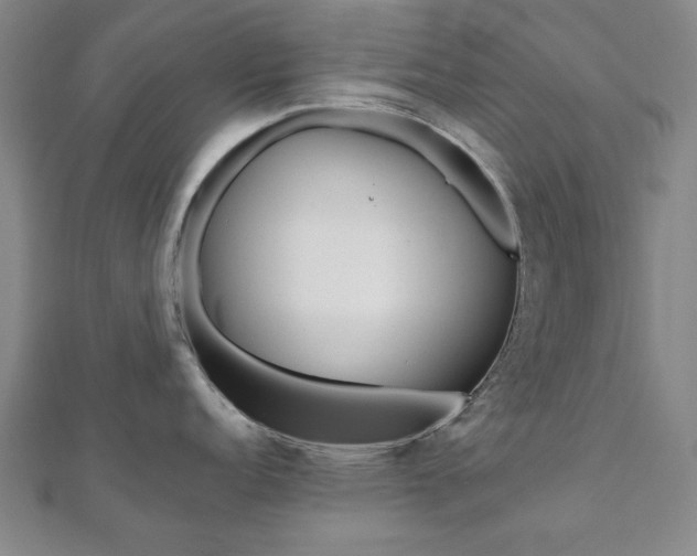 X0000112051152200908040944
