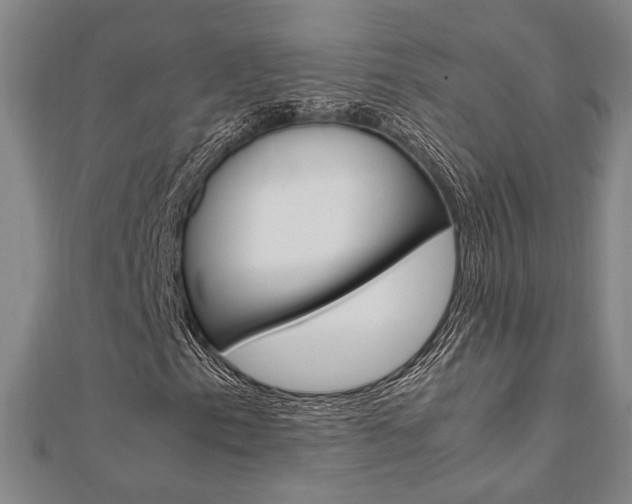 X0000112051153200908040944