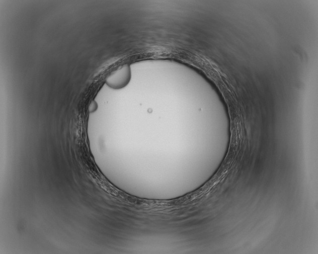 X0000112051158200908040944