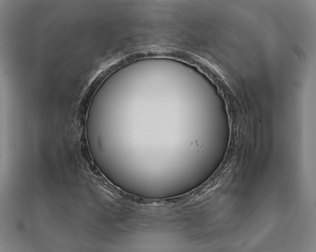 X0000112051160200908040944