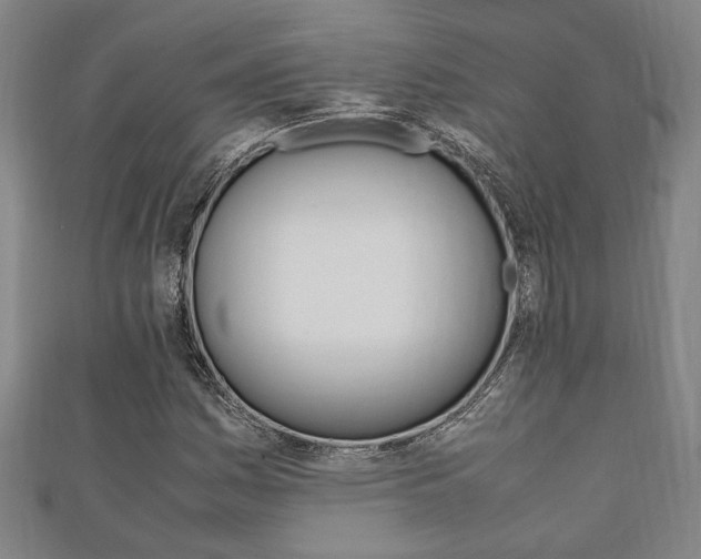 X0000112051161200908040944