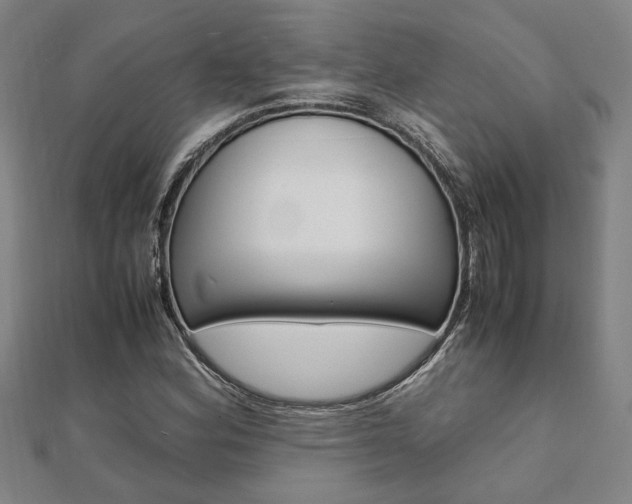 X0000112051164200908040944