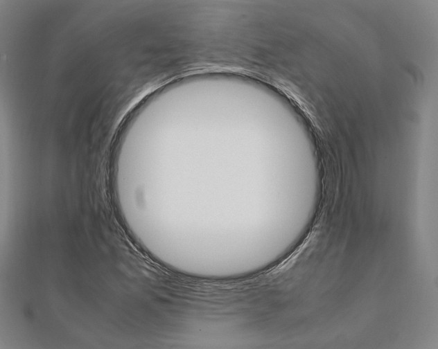 X0000112051165200908040944