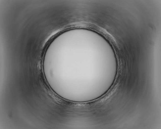 X0000112051166200908040944