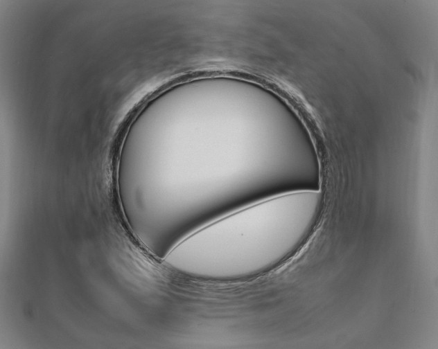 X0000112051167200908040944