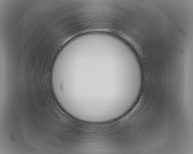 X0000112051169200908040944