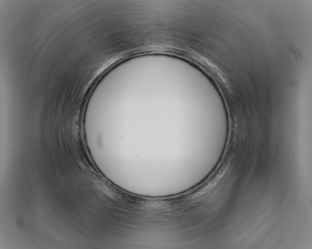 X0000112051170200908040943