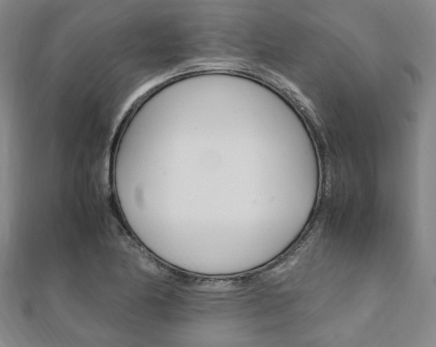 X0000112051174200908040943