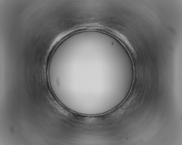 X0000112051176200908040943