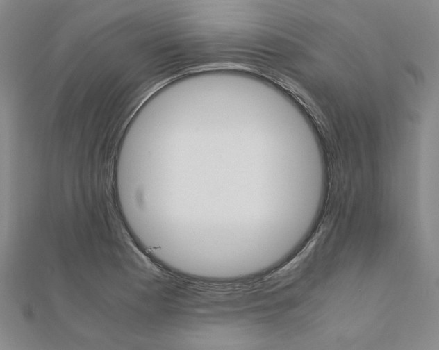 X0000112051177200908040943