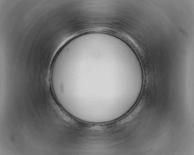 X0000112051178200908040943