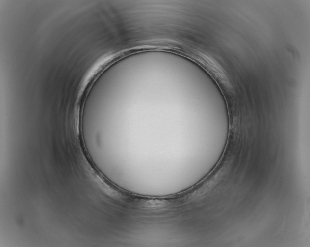 X0000112051180200908040943