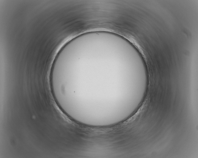 X0000112051181200908040943