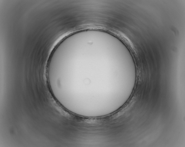 X0000112051182200908040943