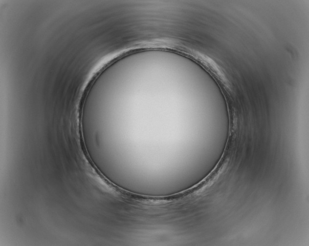 X0000112051184200908040943