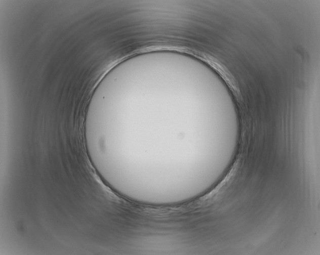 X0000112051185200908040943