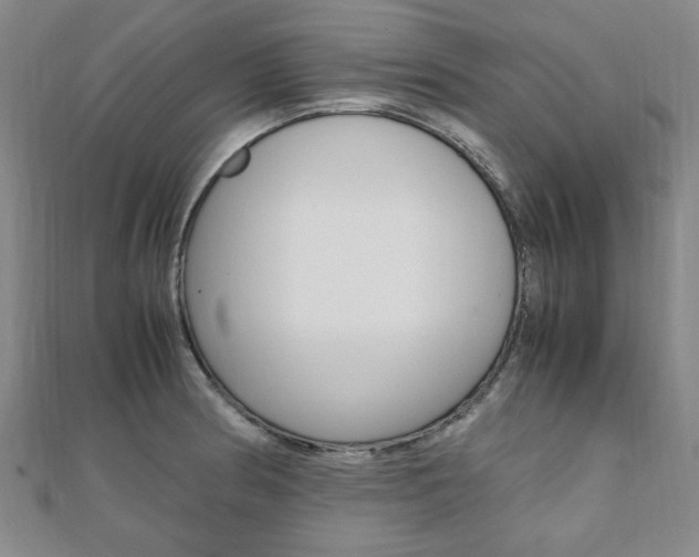X0000112051186200908040943