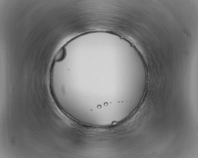 X0000112051187200908040943