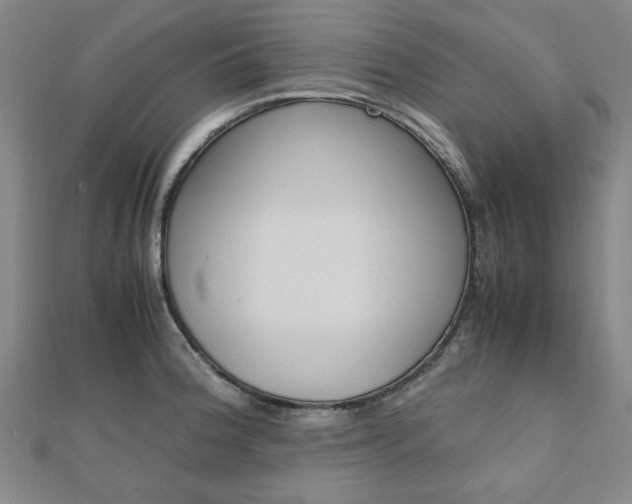 X0000112051188200908040943
