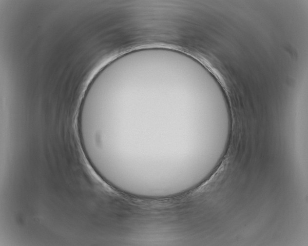 X0000112051189200908040943