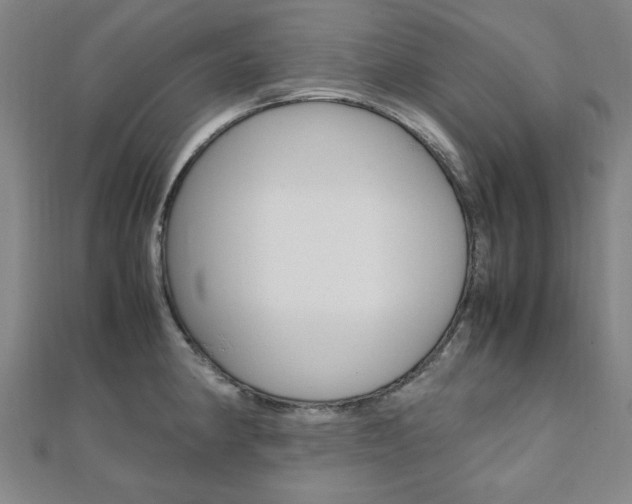 X0000112051190200908040943